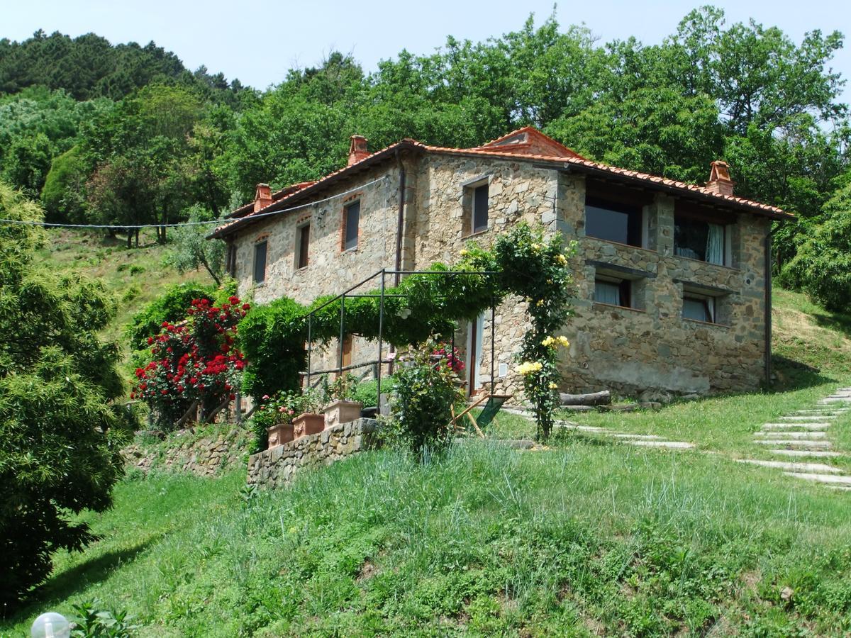 페시아 Fattoria Di Pietrabuona 아파트 외부 사진