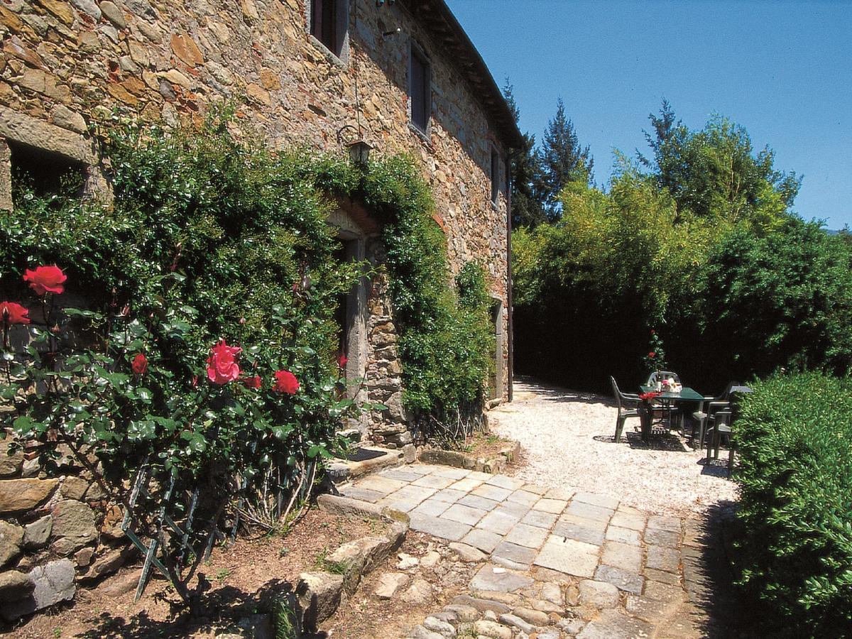 페시아 Fattoria Di Pietrabuona 아파트 외부 사진