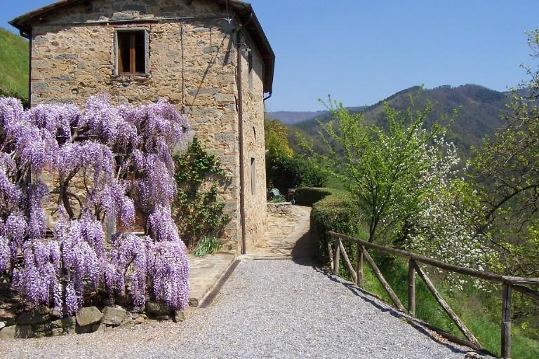 페시아 Fattoria Di Pietrabuona 아파트 외부 사진